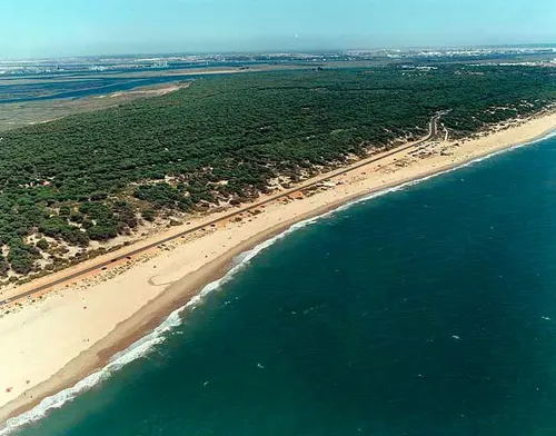 Imagen de Playa de los Enebrales